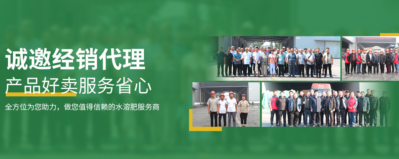水溶肥料-大量元素水溶肥-含氨基酸水溶肥料-高塔復合肥-水溶肥生產(chǎn)廠家-河南中黃特肥科技有限責任公司
